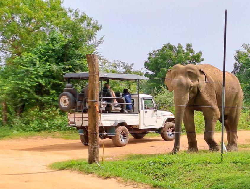 Wild Park Safari Home Stay اوداوالاوي المظهر الخارجي الصورة