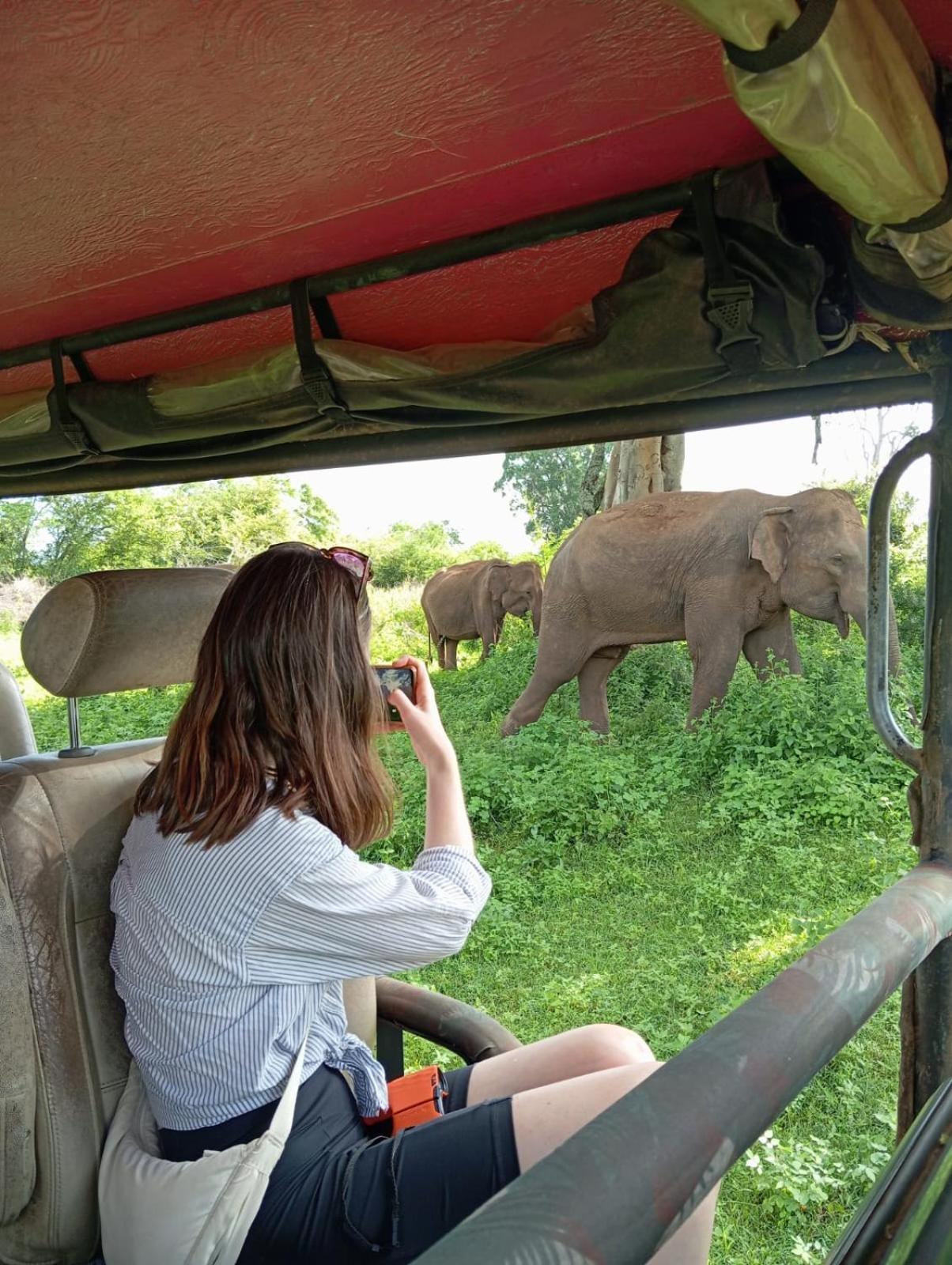 Wild Park Safari Home Stay اوداوالاوي المظهر الخارجي الصورة