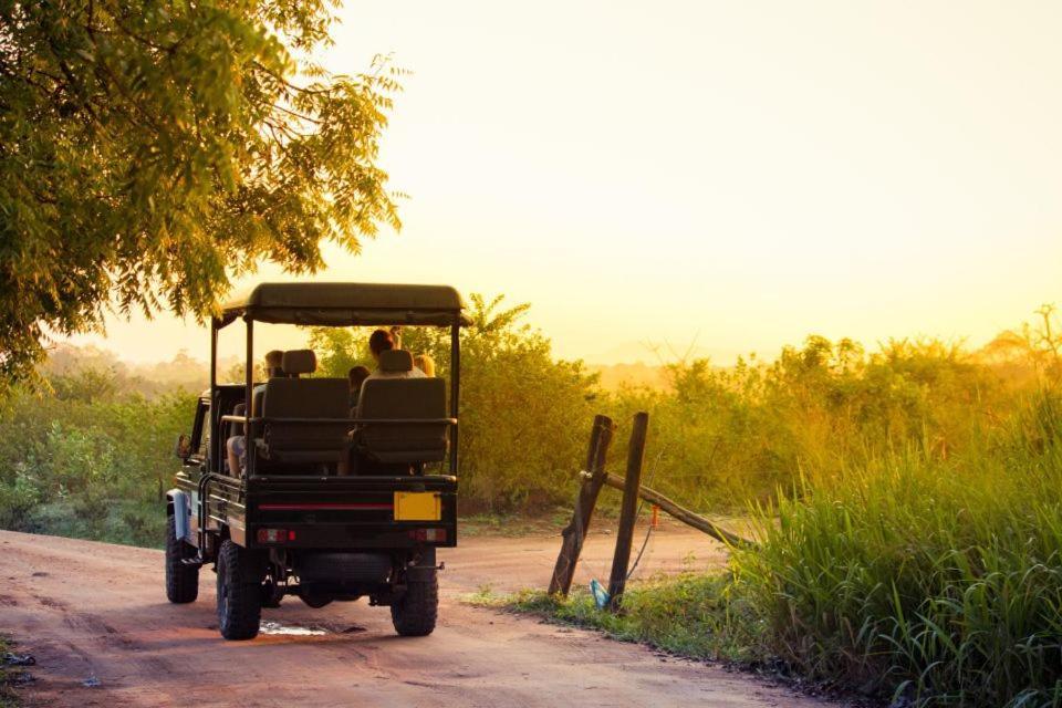 Wild Park Safari Home Stay اوداوالاوي المظهر الخارجي الصورة